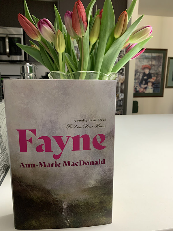 Ann-Marie MacDonald weaves a magnificent, meaningful tapestry in Fayne