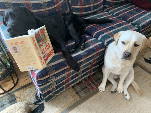 Garp Reads Alice Munro